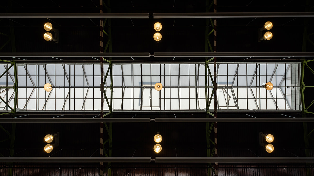 LAMILUX Continuous Rooflight S at the Former Production Facility in Wurzen (Germany)