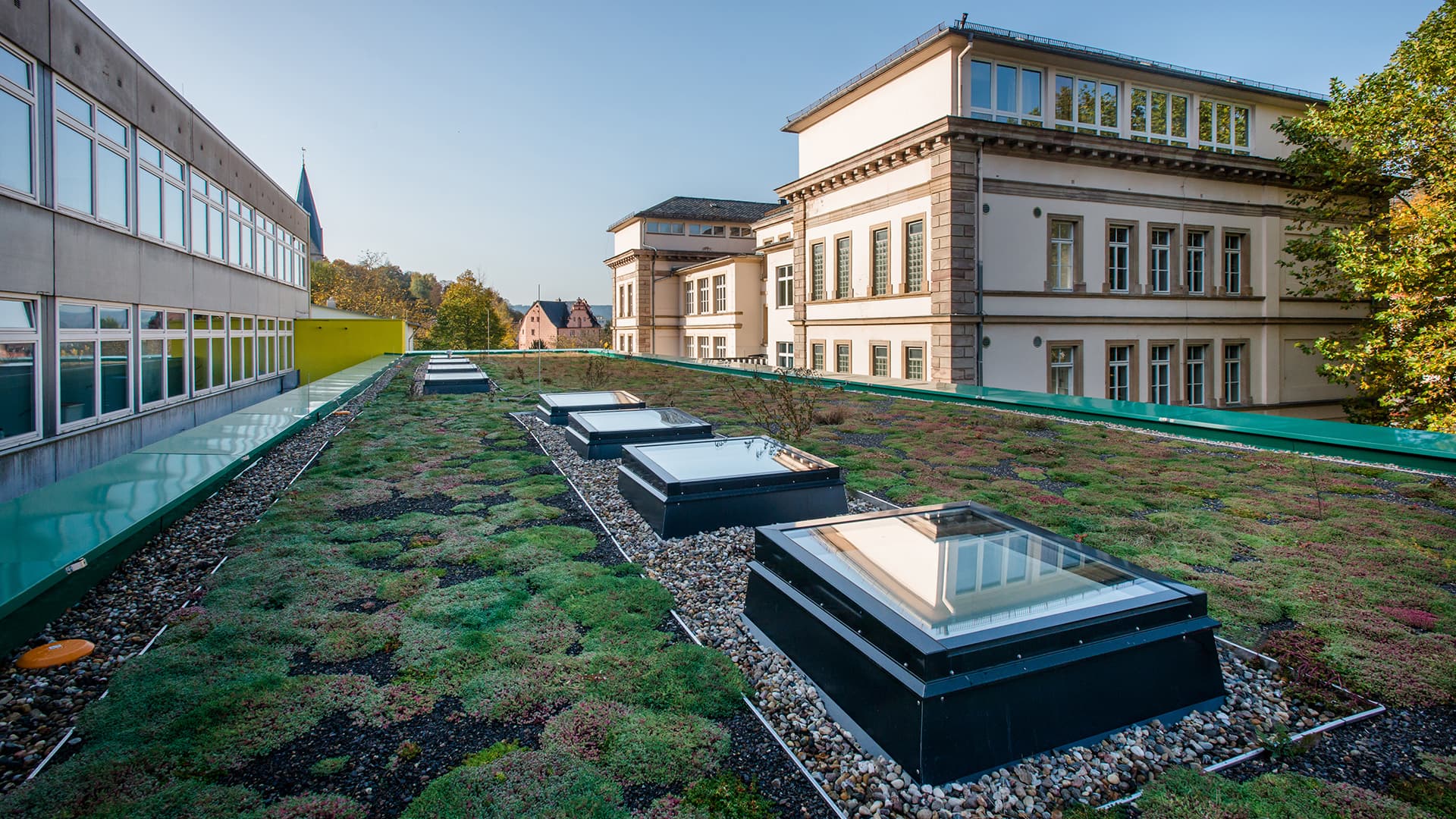 Green flat roof with skylights at Markgraf-Georg-Friedrich-Gymnasium in Kulmbach, surrounded by historic buildings.