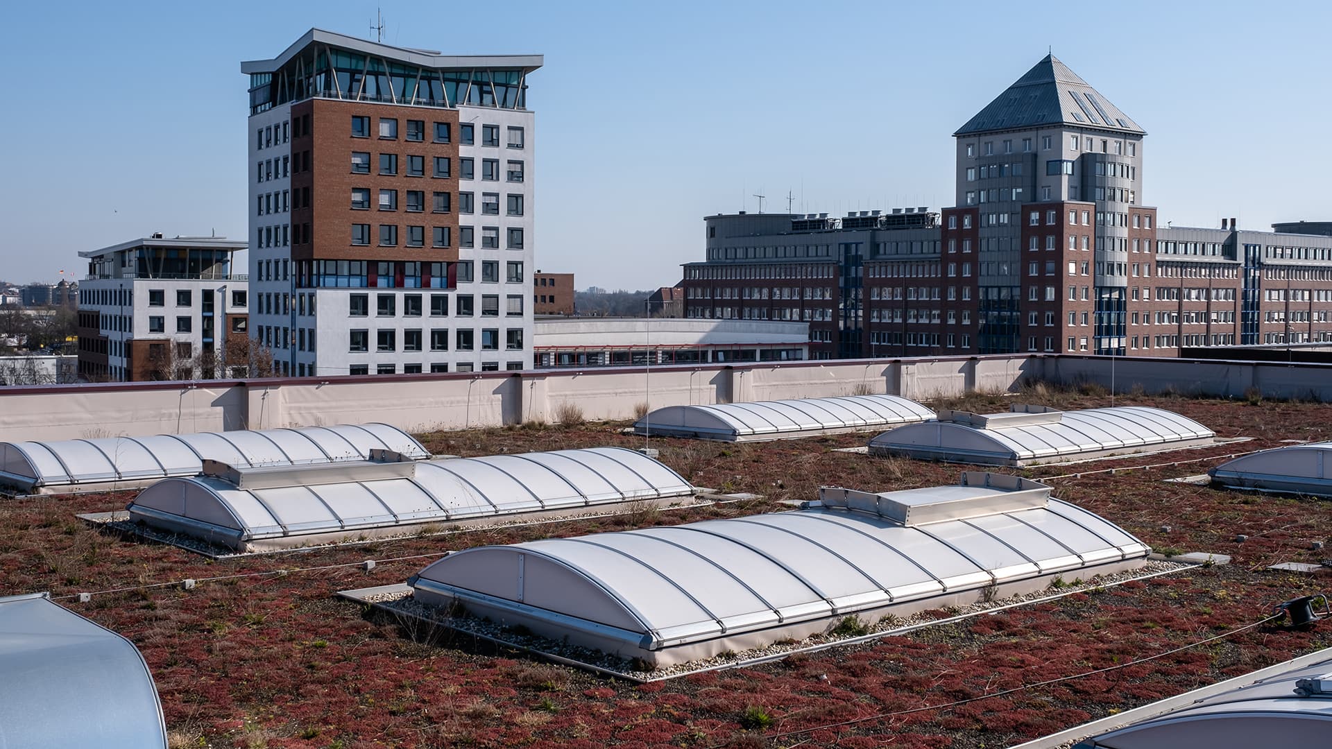 Green roof with flat roof exits at the Hamburg State Opera's storage facility, surrounded by modern office buildings.